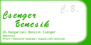 csenger bencsik business card